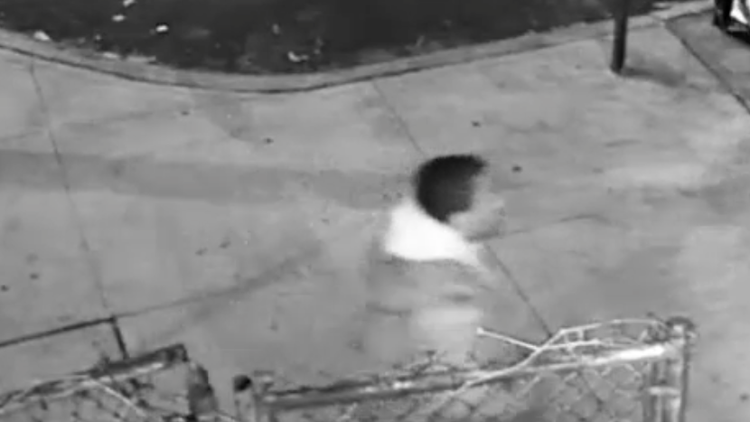 VIDEO: Armed suspect asks victim for directions in Bronx attempted robbery