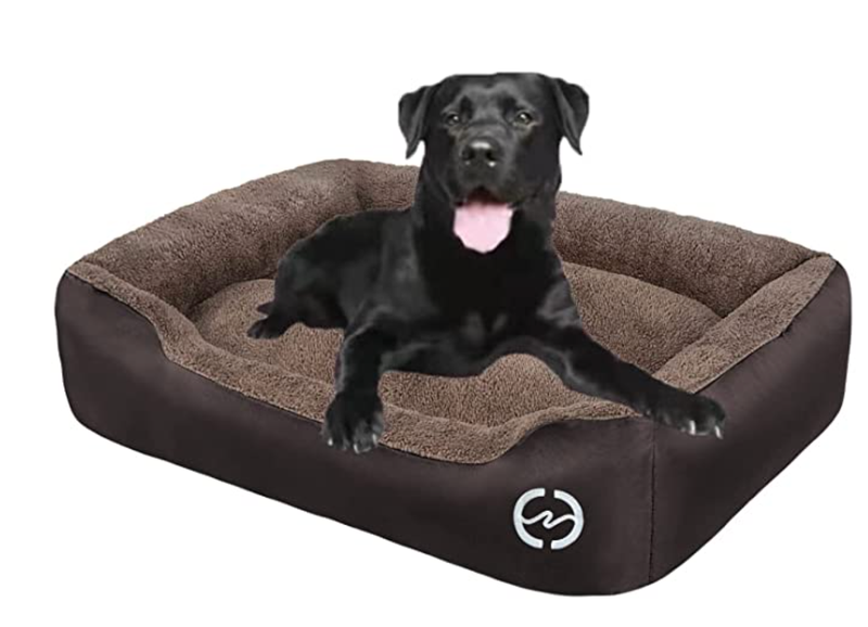 dog bed