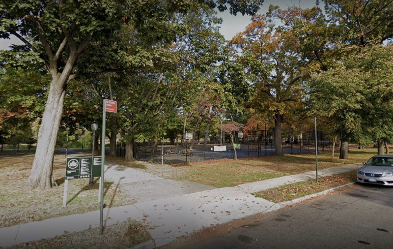 Brookville Park where stabbing and shooting occurred