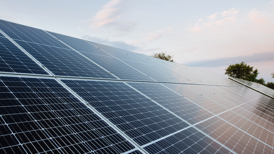 Future bright for green economy in Illinois: study