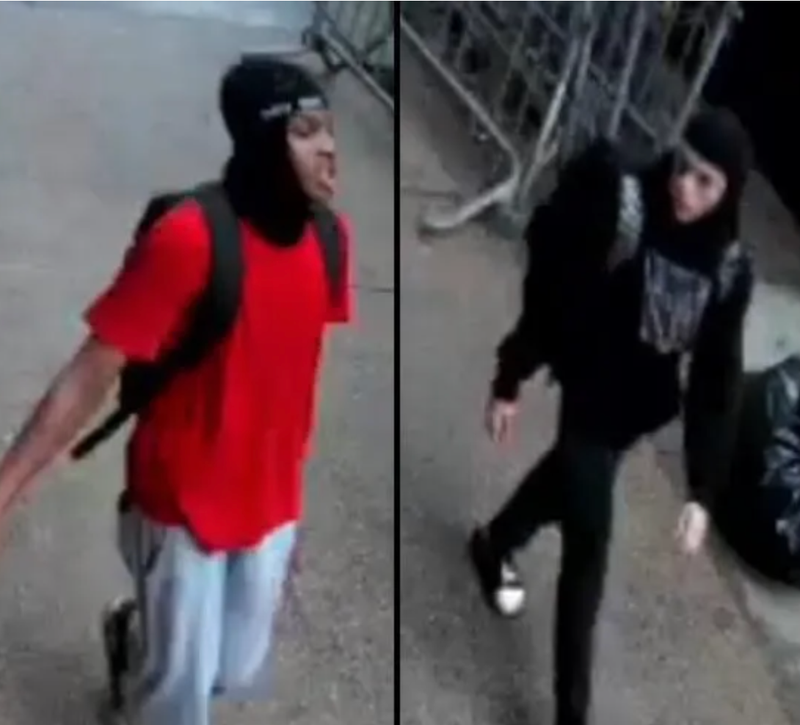 Suspects sought