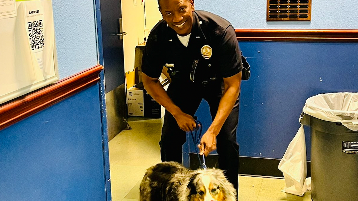 Nurse reunited with stolen dog, trailer after theft in Los Feliz