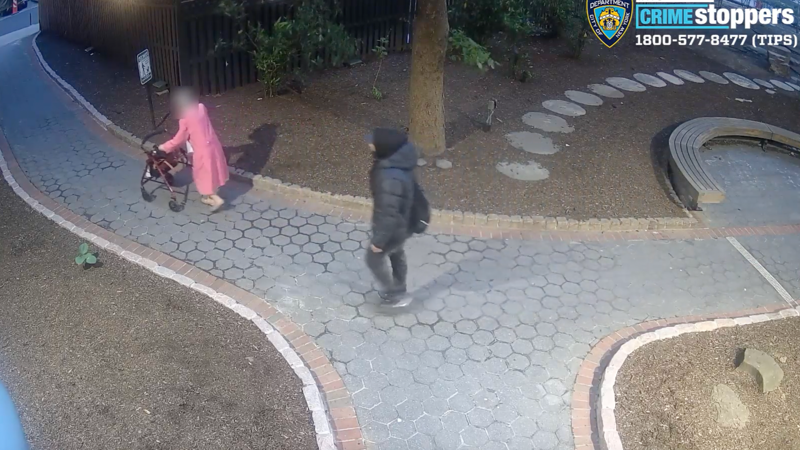 VIDEO: Man steals purse from walker of 90-year-old woman