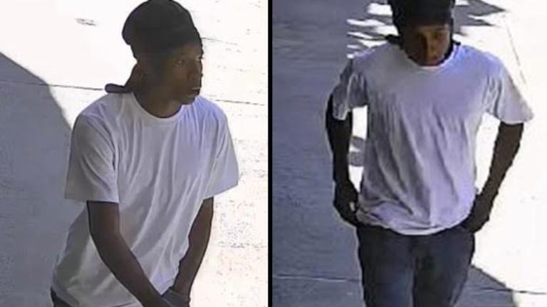 Thief punches, pushes victim while trying to steal cellphone in the Bronx