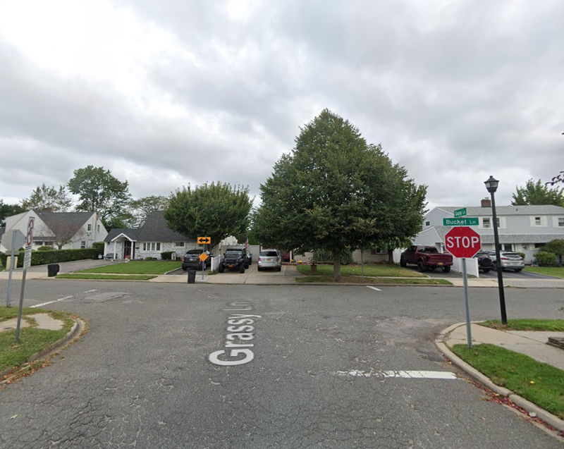 The boy was struck by a minivan in a residential area of Levittown on Monday morning, police said