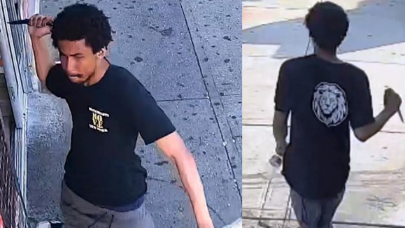 VIDEO: Knife-wielding man stabs teen girl in Brooklyn juice bar, sought by police