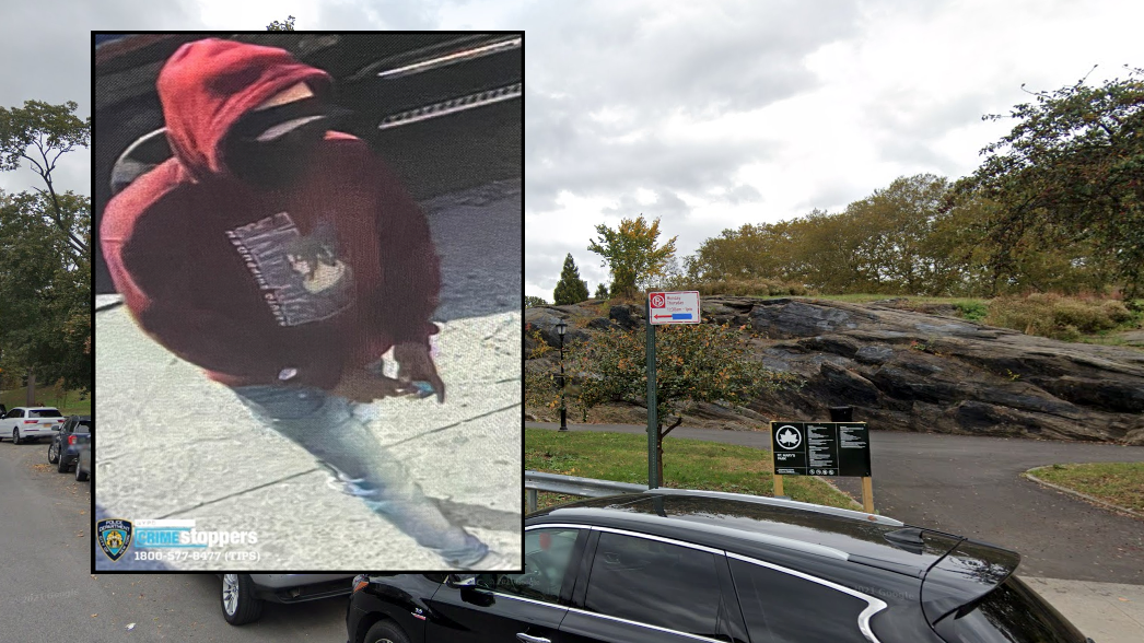 Man rapes, robs woman at knifepoint in Bronx park after lying in wait outside her home