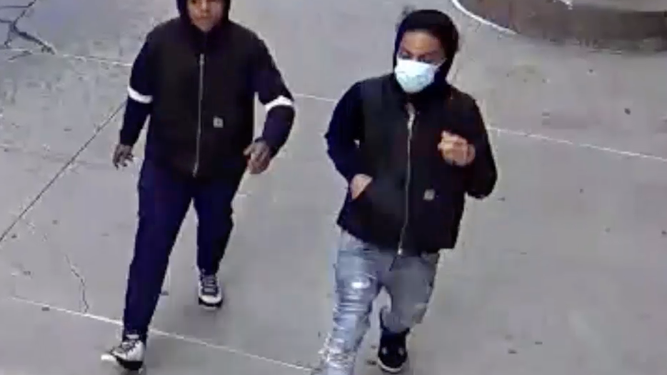 2 teens wanted after gunfire sends Chelsea school into lockdown