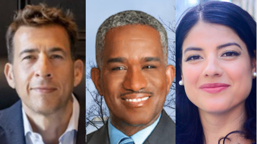 Sorting out the Democratic primary for Illinois Secretary of State