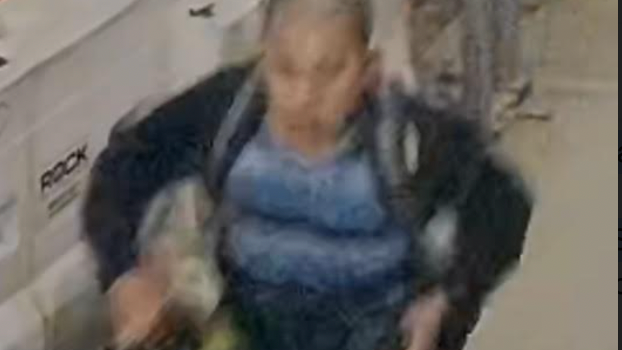 Man pushed to ground, punched in head after dispute on MTA bus in Brooklyn