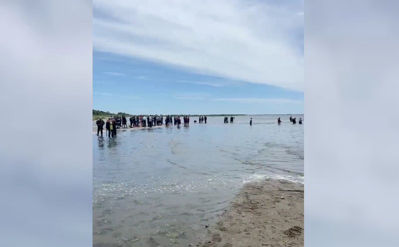 A heavy police and EMS response was seen amid the search off of Howard Beach
