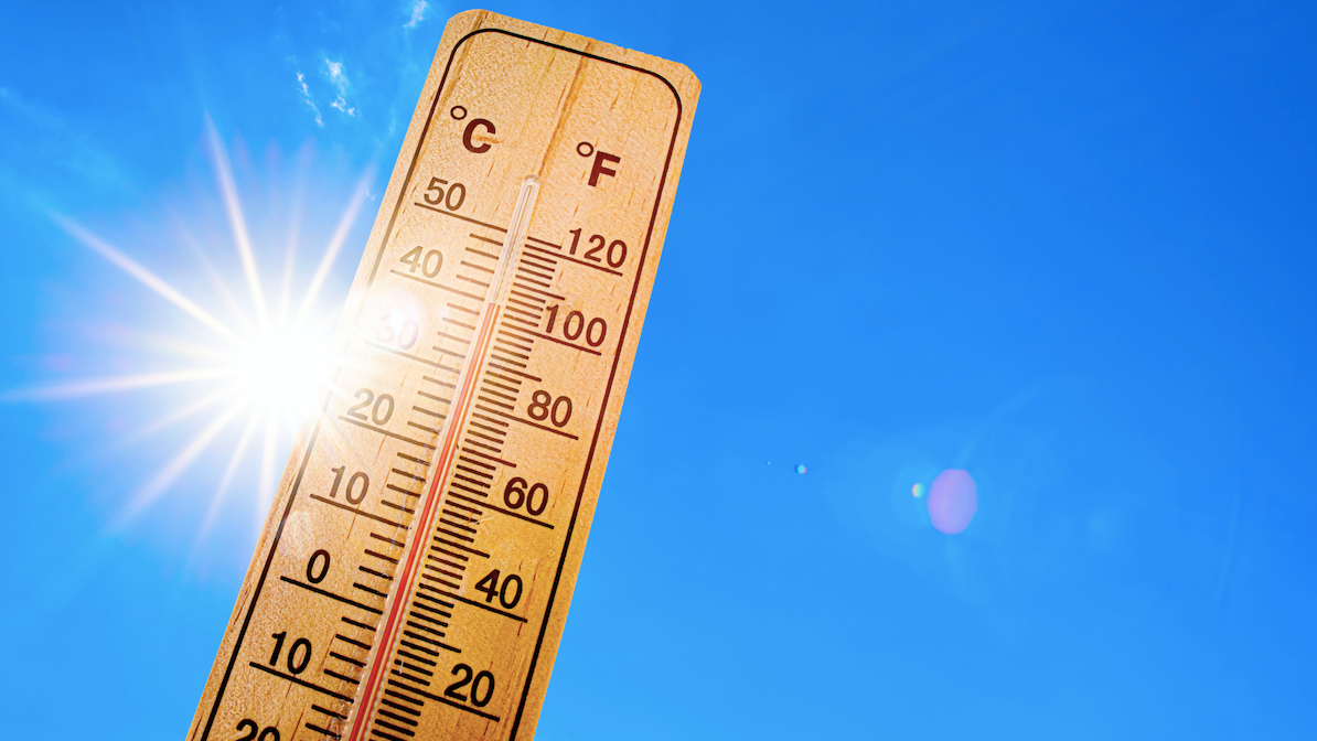 Scorching weather expected in Chicago area, with 'real feels' of 105 to 110 degrees