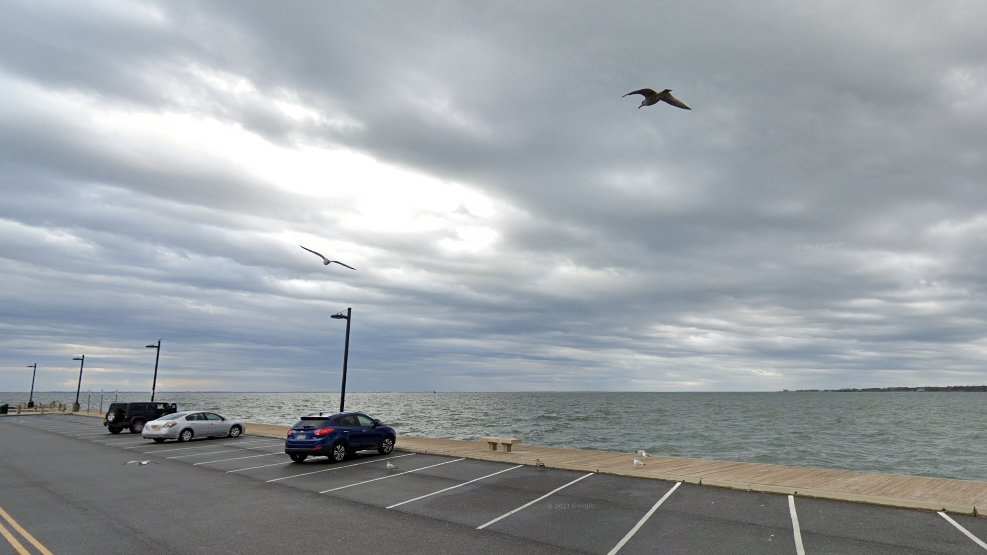 Teen rescues woman who drove car into LI bay