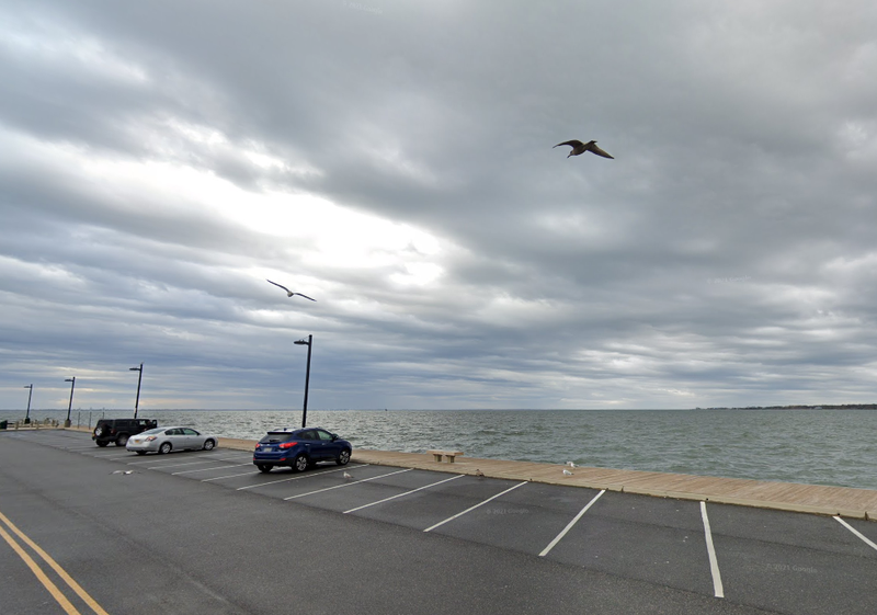 A teen jumped into action after a woman accidentally drove her Subarbu off of a parking lot and into Patchogue Bay on Tuesday night