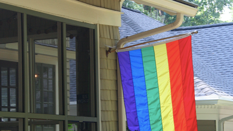 Pride flags stolen in western suburb: police