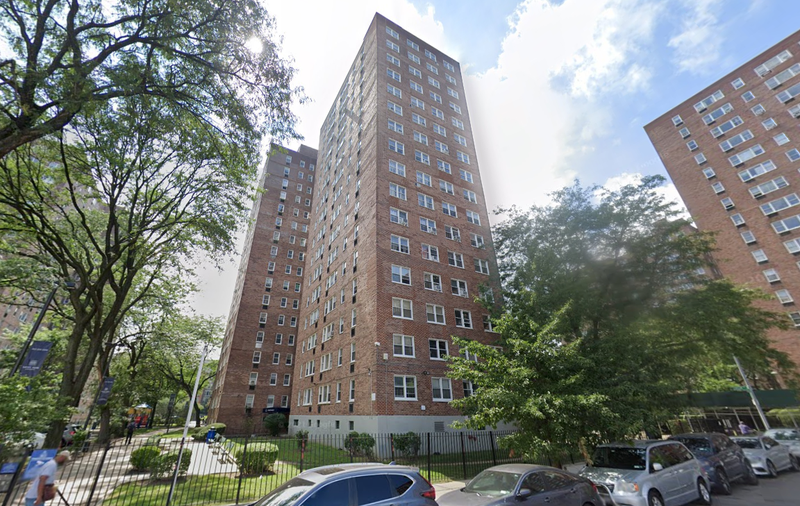The dog was allegedly abused in a hallway of an apartment building on W. 141st Street, near Fifth Avenue, in Harlem
