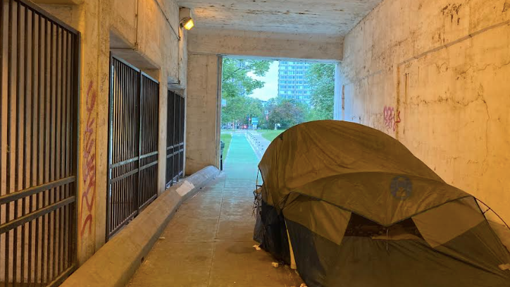 Advocates for the homeless give Lightfoot failing grades for her handling of the issue