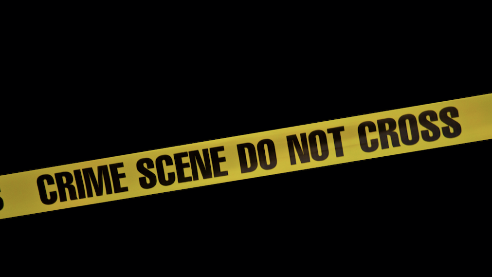 Police seek suspects in killing on CTA bus