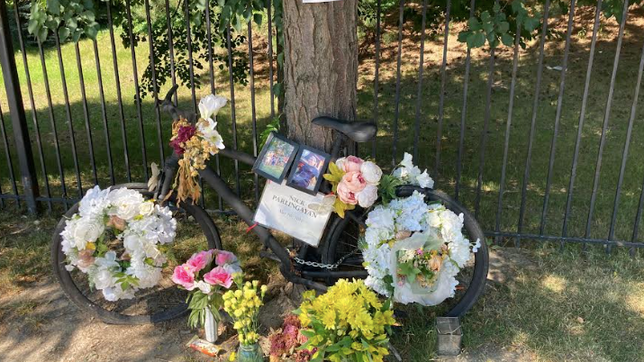 Chicago announces expansion of curb-protected bike lanes, following series of fatal accidents