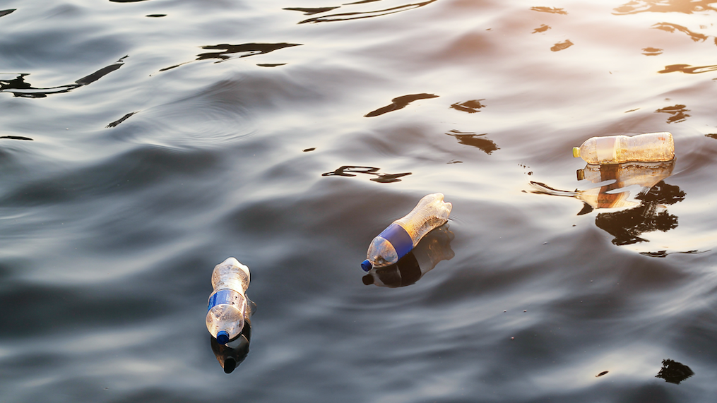 Environmental group: Take care to keep plastics out of the lake