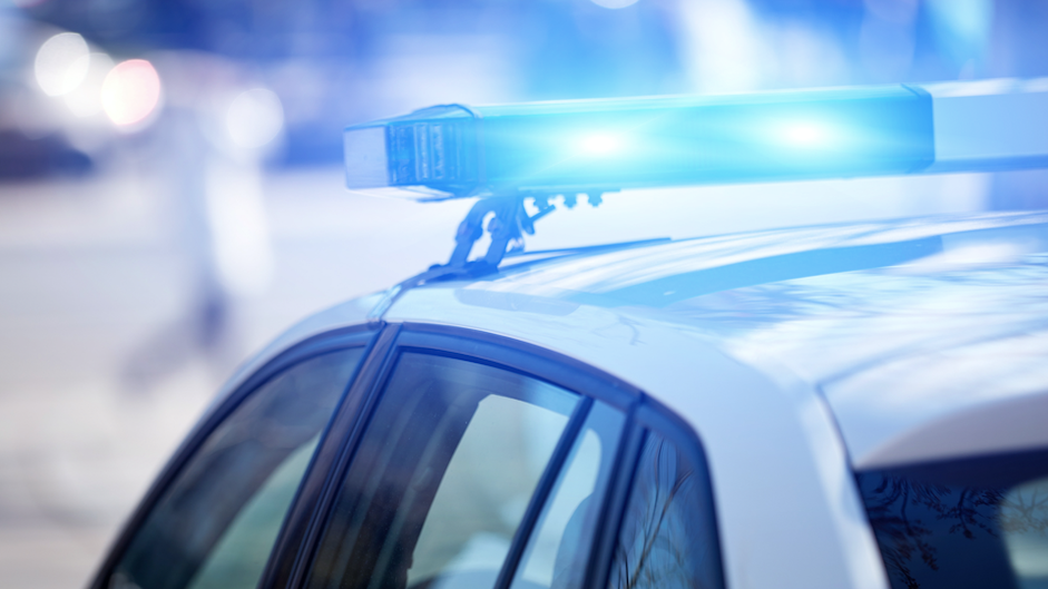 Police respond to Brookfield Zoo following potential threat