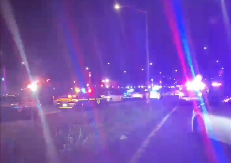 A 20-year-old woman was tasered and arrested after she allegedly menaced officers on the Korean War Veterans Parkway Wednesday night.