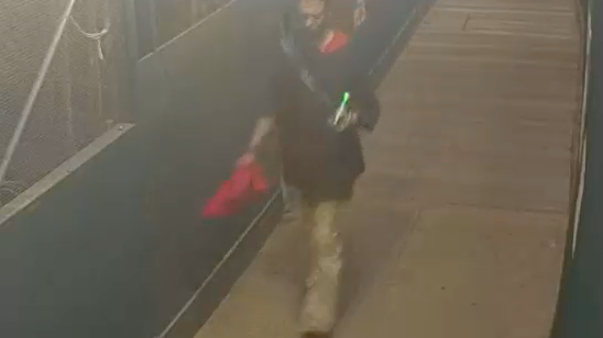 Suspect spews anti-gay slurs, threatens men with hammer by Central Park: NYPD