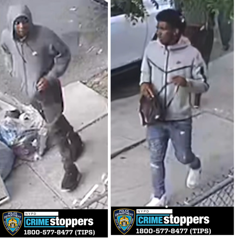 Carjacking suspects