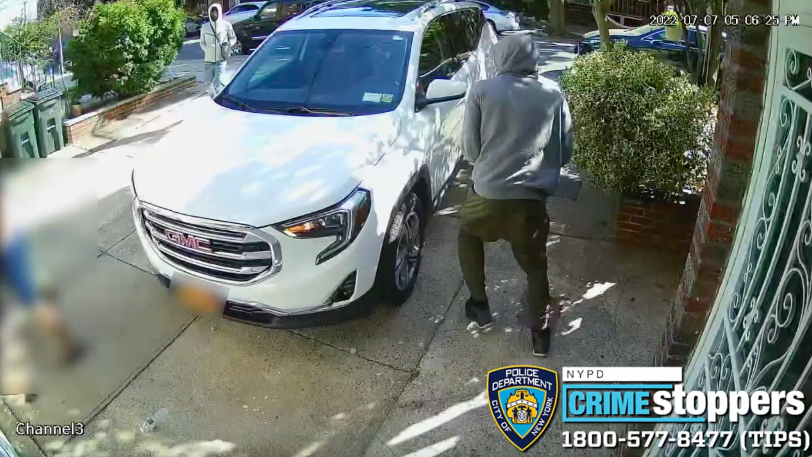 VIDEO: Elderly man punched, carjacked in driveway of BK home