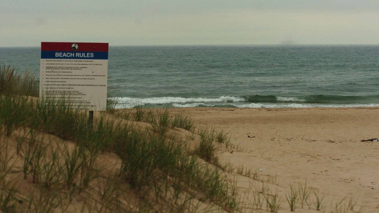 Girl, 9, dies after being pulled from lake in Gary