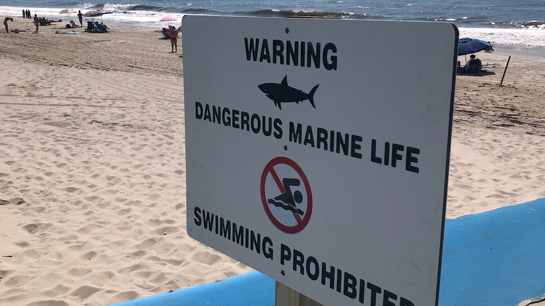 NEW LI SHARK ATTACK: Swimming at Suffolk beach closed after paddleboarder bitten