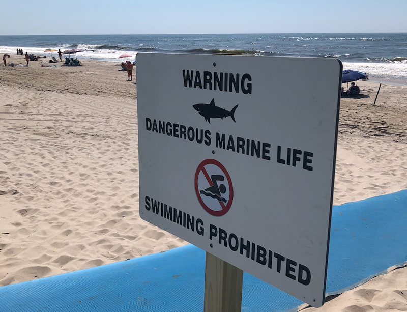 Smith Point Beach on Suffolk County has been closed after a surfer was attacked on Wednesday morning.