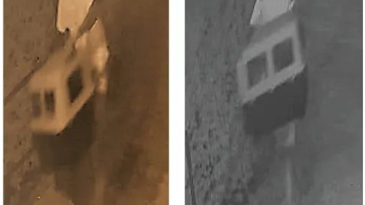 $5K reward offered for information on person who abandoned severely injured dog on LI