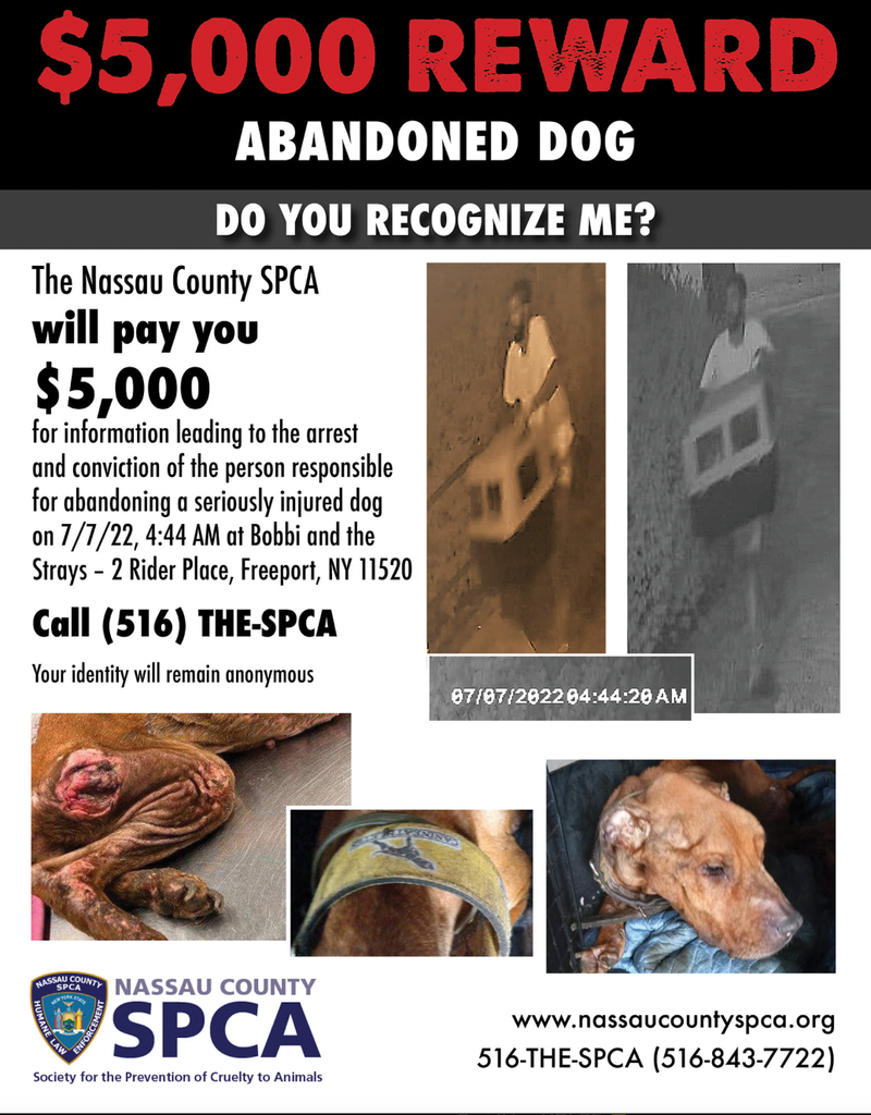 reward poster