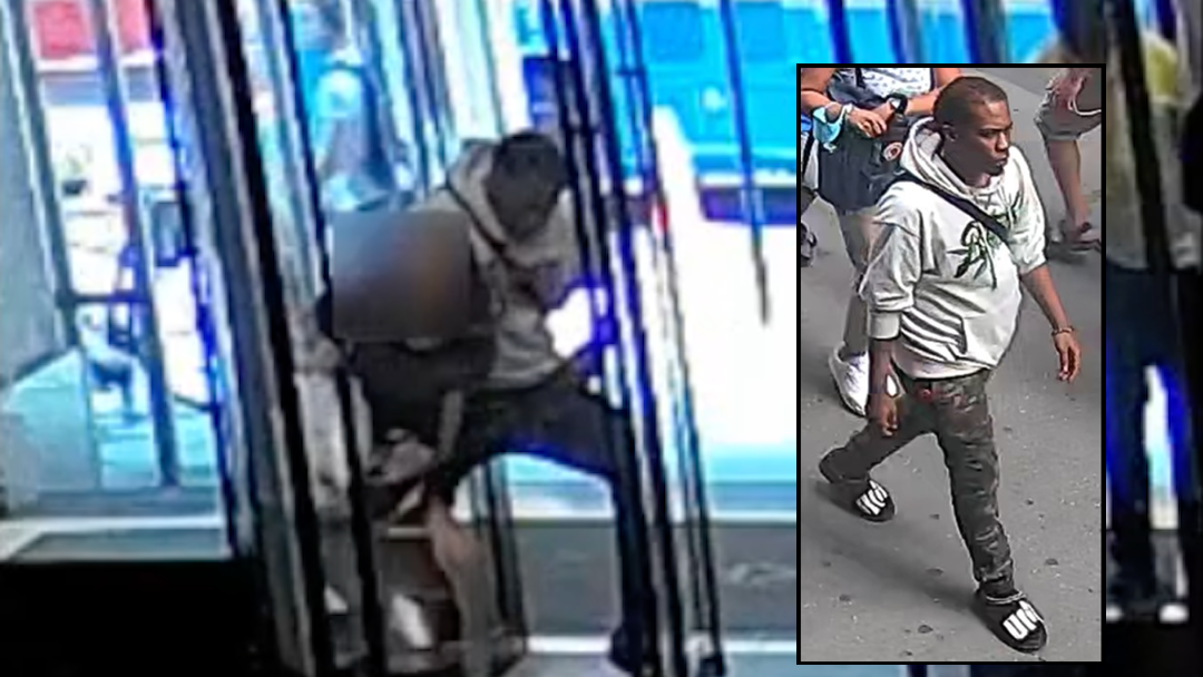 VIDEO: Man tries to steal woman's French bulldog in revolving door of NYC office building
