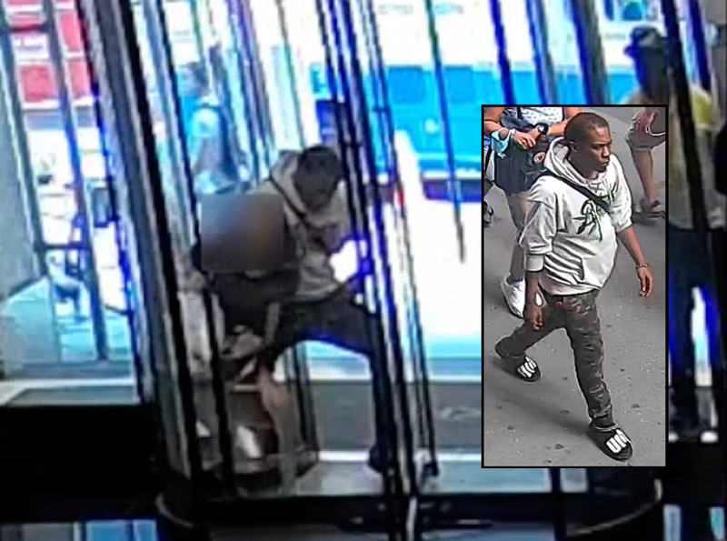 A man tried to steal a woman's French bulldog in broad daylight at a Financial District office building
