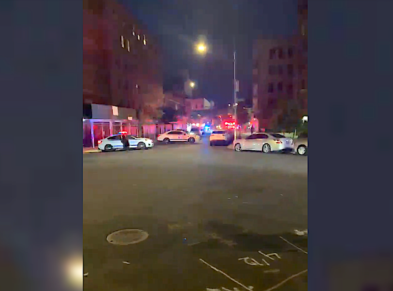 A woman was shot as she walked her dog—one of two shootings in the Charlotte Gardens section of the Bronx overnight