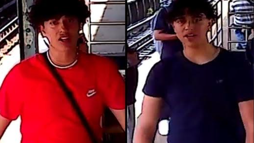 Vandal wanted for wrecking 9 MTA security cameras causing $3K in damages