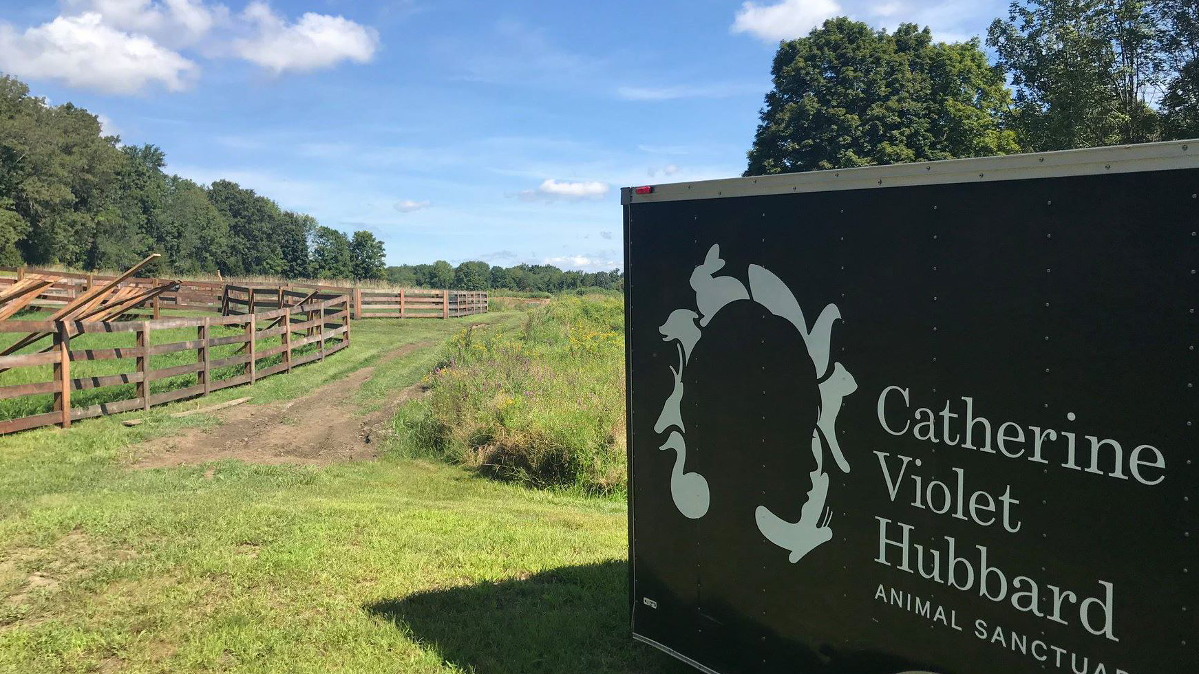Difference Makers: Sandy Hook mom finds hope in animal sanctuary