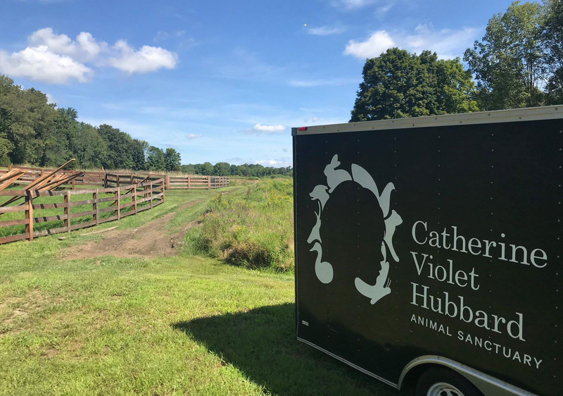 Catherine Violet Hubbard Animal Sanctuary