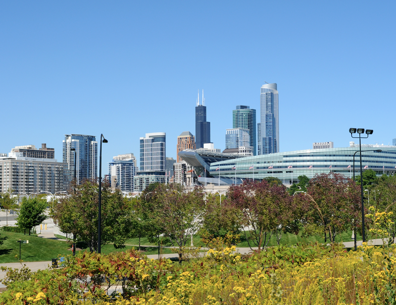 Soldier Field
