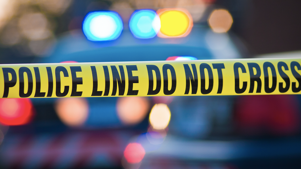 Girl, 15, fatally shot in Chicago Lawn: police