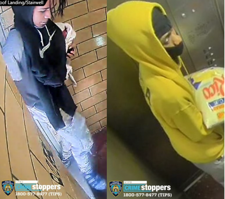 Robbery suspects