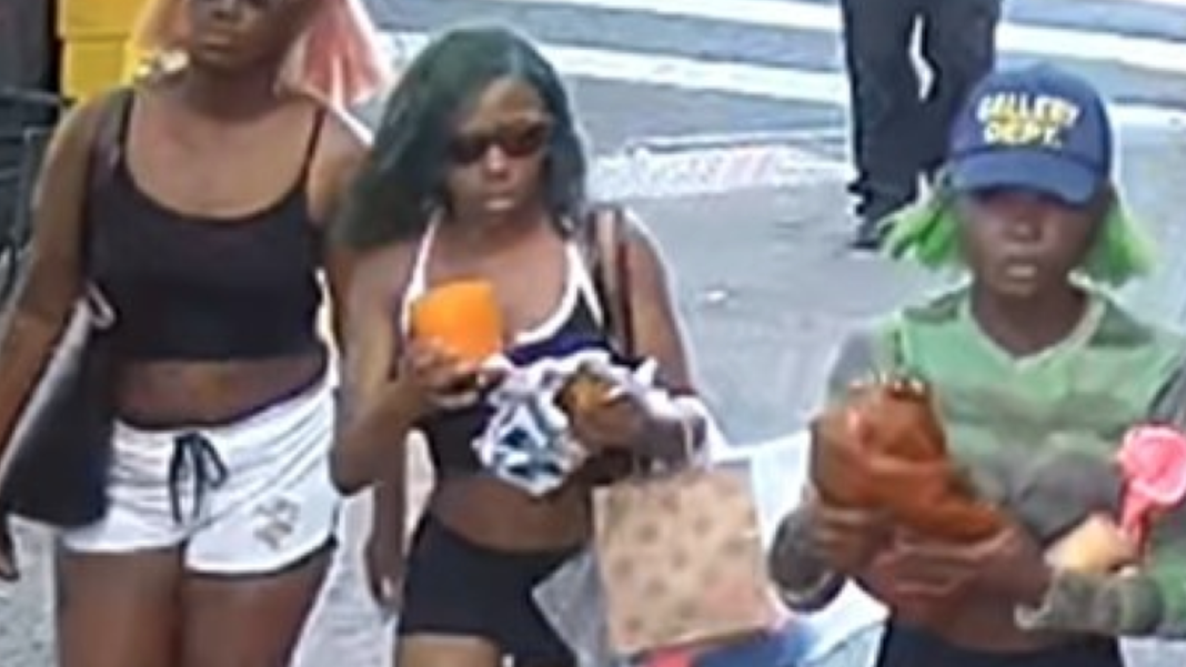 2 charged with hate crimes for 'anti-white' attack on Queens MTA bus: NYPD