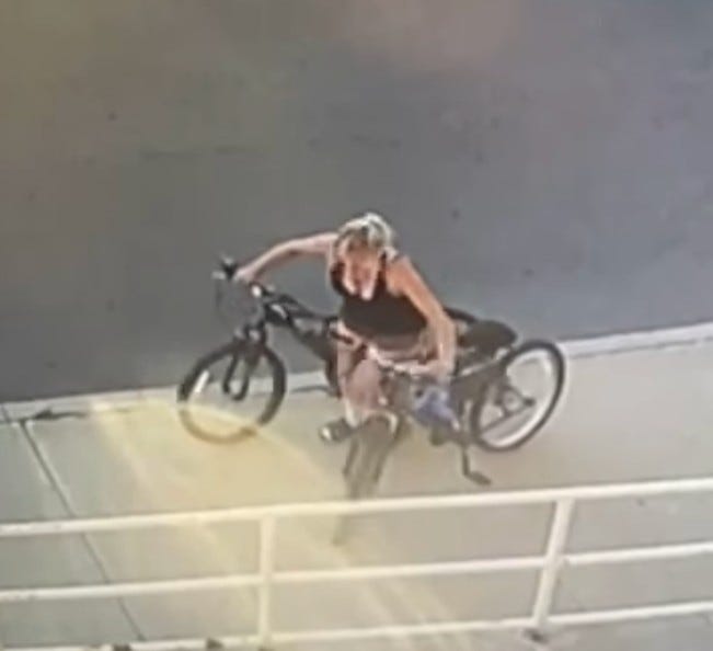 Bike thief