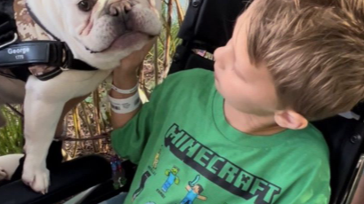 Boy paralyzed in parade shooting progresses to rehab, visits with family dog