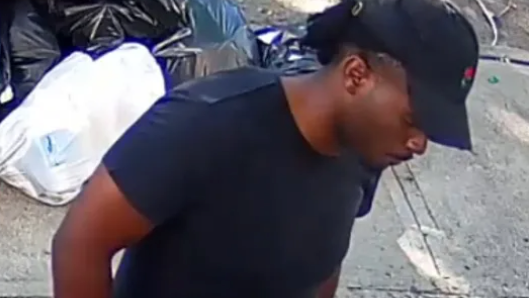 Woman taking dog on morning walk sexually assaulted in Brooklyn