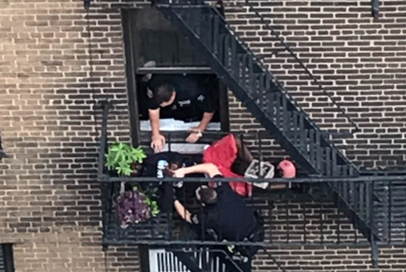 Cops made one arrest on a fire escape during the pursuit.