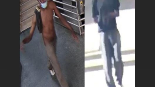Suspect tried to rob, undo pants of CTA rider, police say