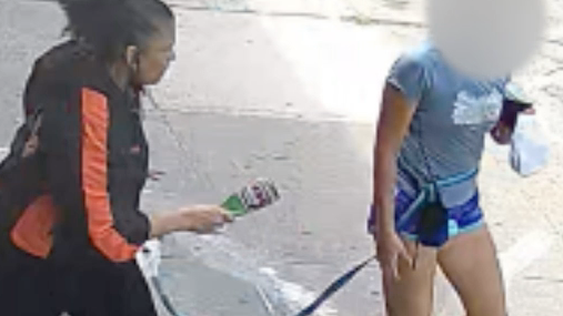 VIDEO: Woman blocks dog walker's path, hits her with bottle in Brooklyn